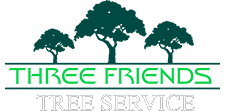 Three Friends Tree Service